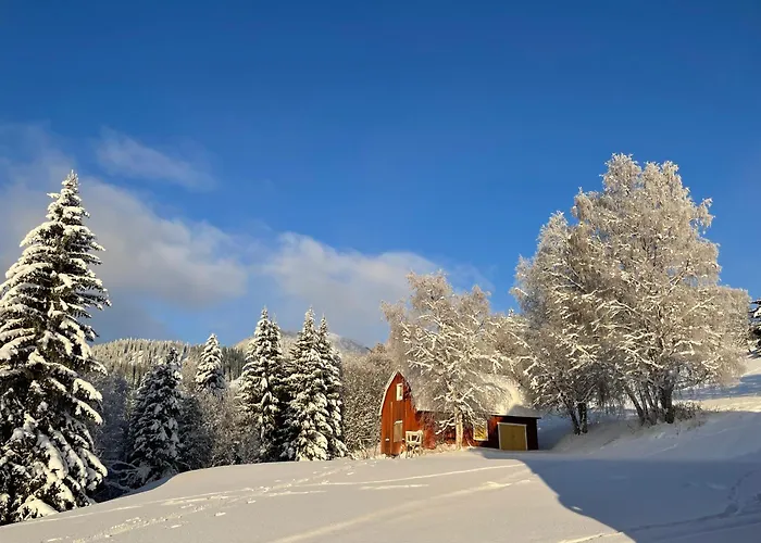 Solbergs, Fint Attefallshus I Vik, Are