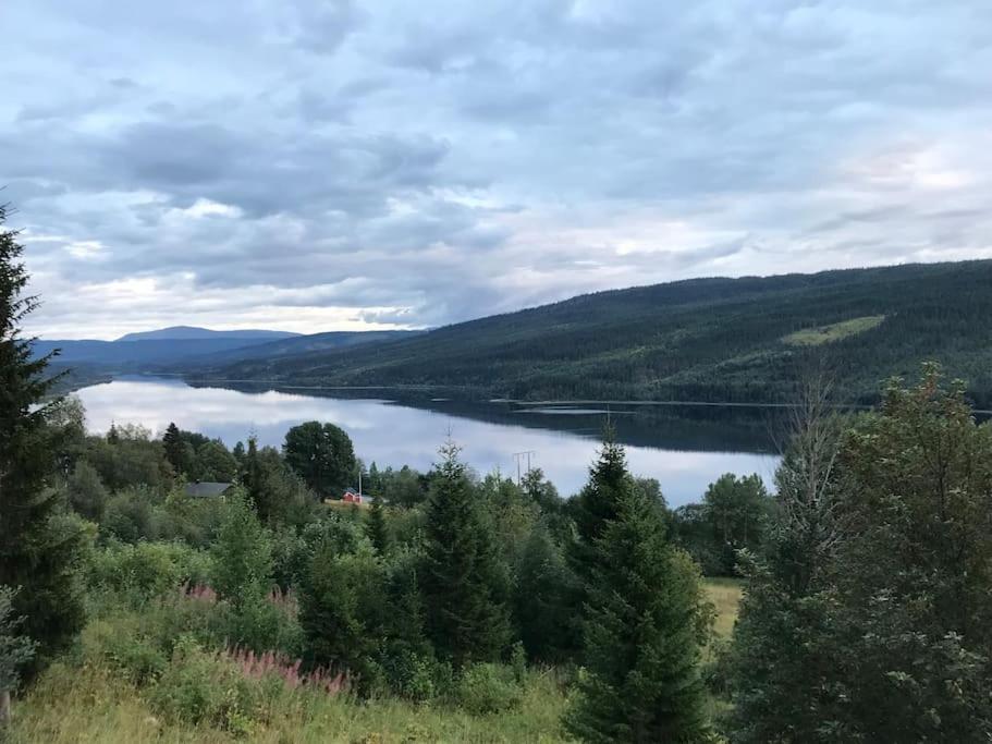 Solbergs, Fint Attefallshus I Vik, Chalet Are