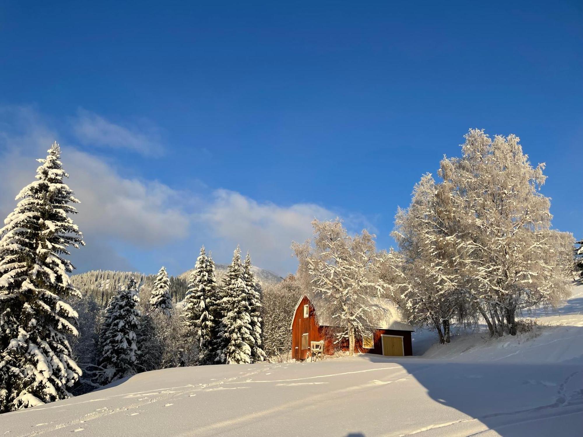 Solbergs, Fint Attefallshus I Vik, Chalet Are